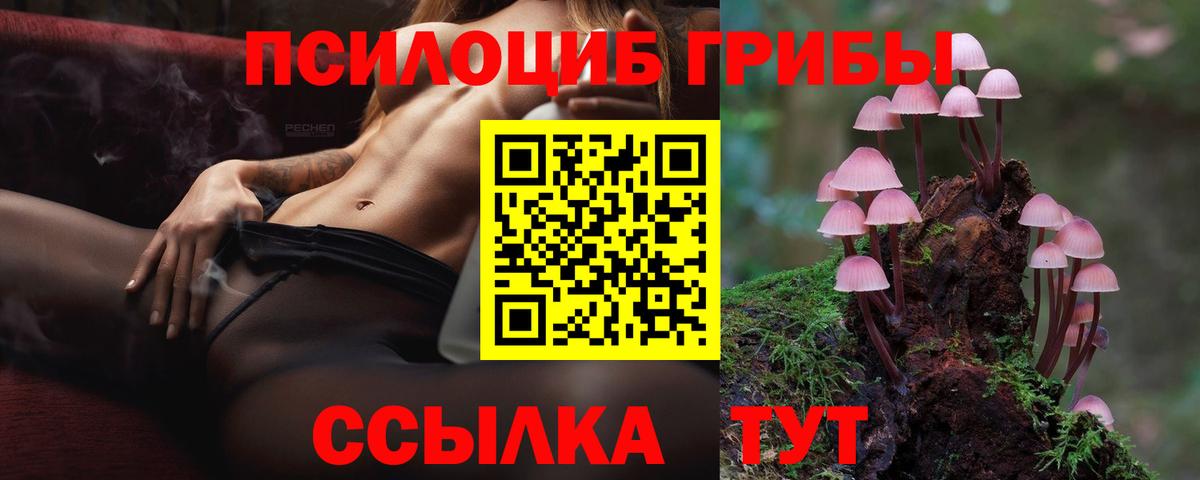 Галлюциногенные грибы прущие грибы  Вход с VPN  Донецк 